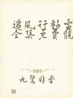 追风行动电视剧全集免费观看