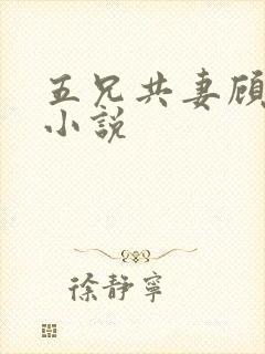五兄共妻顾心儿小说