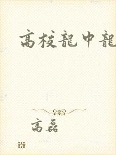 高校龙中龙