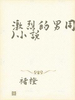激烈的男同(h)小说