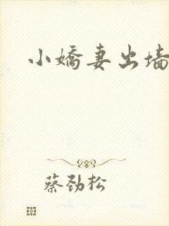 小娇妻出墙记