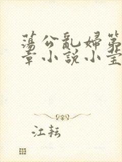 荡公乱妇第51章小说小莹