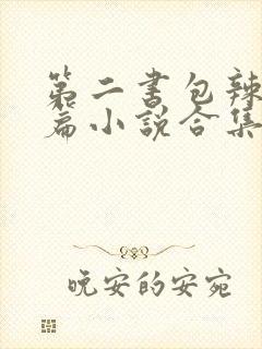 第二书包辣网短篇小说合集