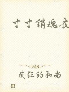 寸寸销魂夜春光