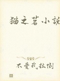 猫之茗小说