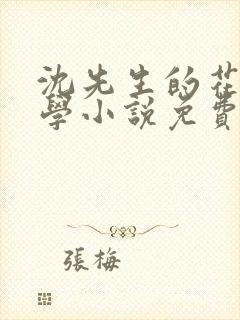 沈先生的花式教学小说免费