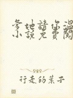 爹地请你温柔点小说免费阅读