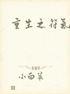 重生之符气冲天