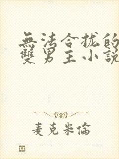 无法合拢的总裁双男主小说