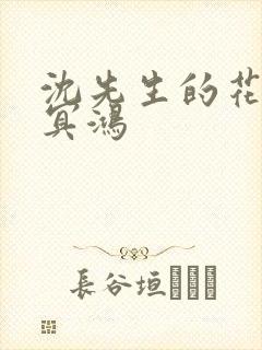 沈先生的花式调冥鸿