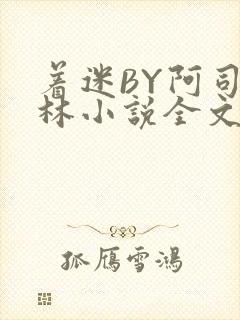 着迷BY阿司匹林小说全文免费阅读