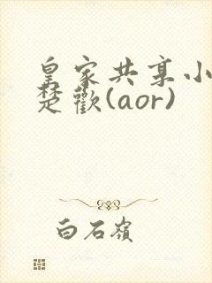 皇家共享小公主楚欢(aor)