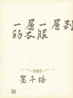 一层一层剥开你的衣服