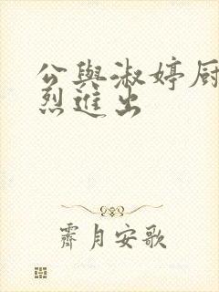 公与淑婷厨房猛烈进出