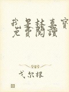 我是林喜宝小说免费阅读