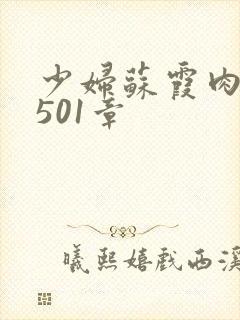 少妇苏霞肉欲第501章