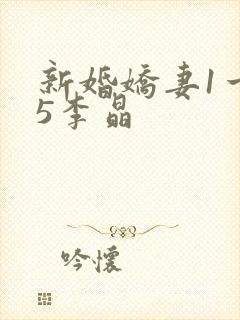 新婚娇妻1一25李晶