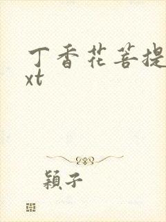 丁香花菩提树txt