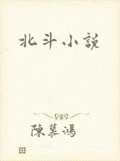 北斗小说
