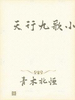 天行九歌小说