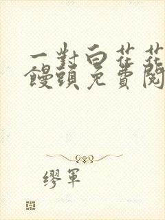 一对白花花的大馒头免费阅读