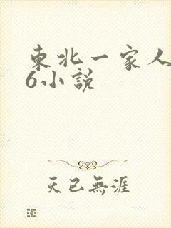 东北一家人1一6小说