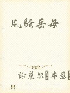 风骚岳母