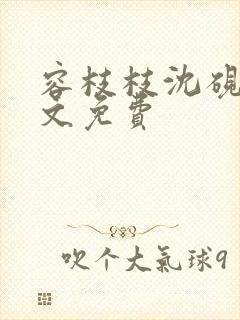 容枝枝沈砚书全文免费