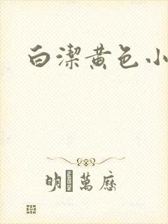 白洁黄色小说