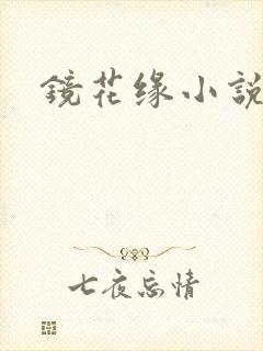 镜花缘小说