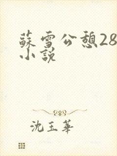 苏雪公憩28篇小说