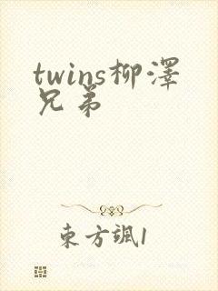twins柳泽兄弟