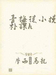 青梅从小摸到大补课h