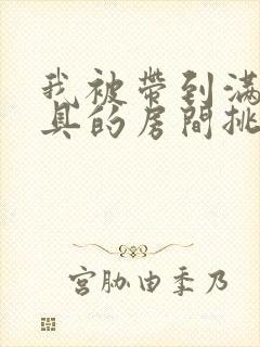 我被带到满是玩具的房间挑调作文