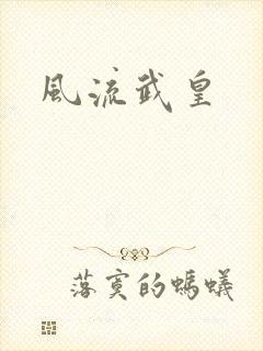 风流武皇