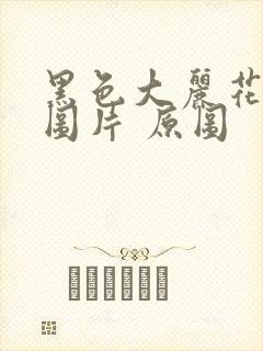 黑色大丽花真实图片 原图