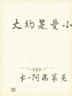 大约是爱小说