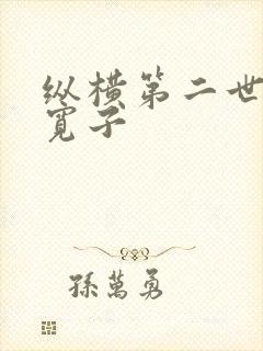 纵横第二世界 宽子