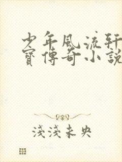 少年风流轩辕大宝传奇小说