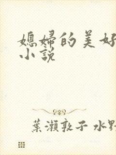 媳妇的美好时代小说