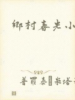 乡村春光小说