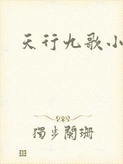 天行九歌小说