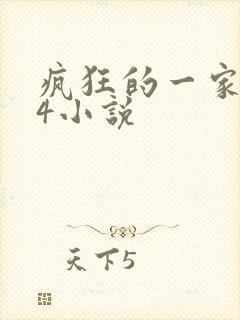 疯狂的一家ps4小说