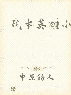 我本英雄小说