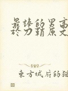 最棒的男高中生于刀鞘原文阅读