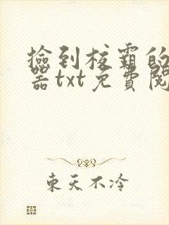 捡到校霸的遥控器txt免费阅读