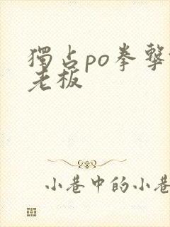 独占po拳击馆老板