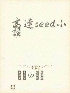 高达seed小说
