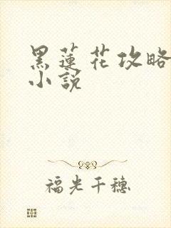黑莲花攻略手册小说