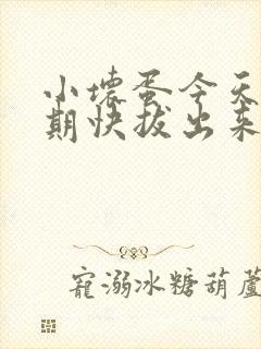 小坏蛋今天危险期快拔出来